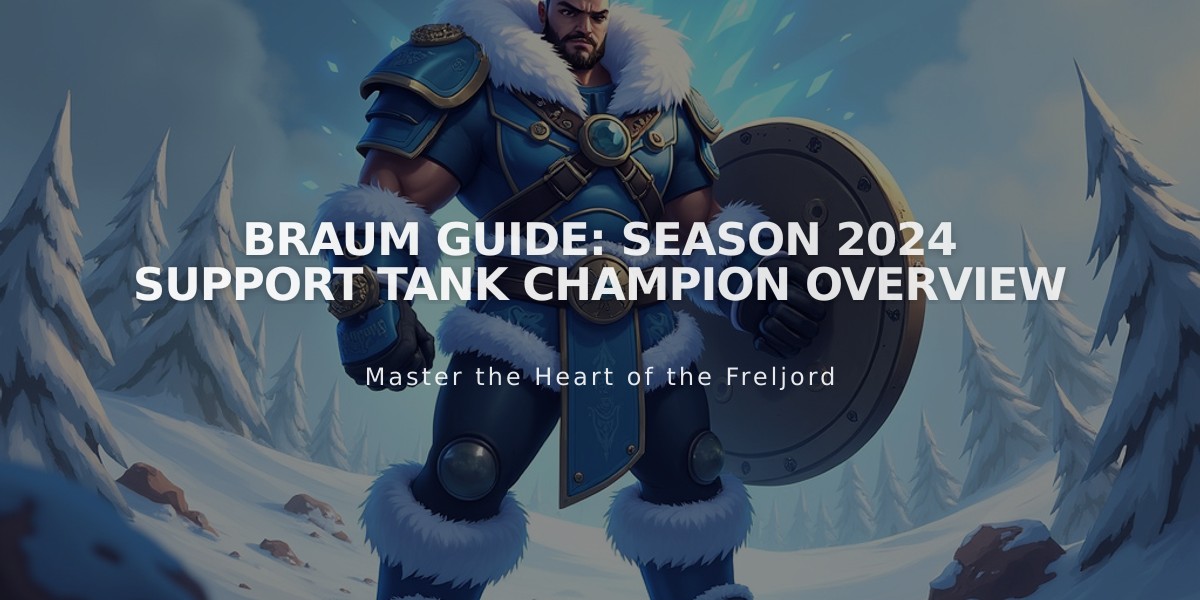 Braum Guide: Season 2024 Support Tank Champion Overview